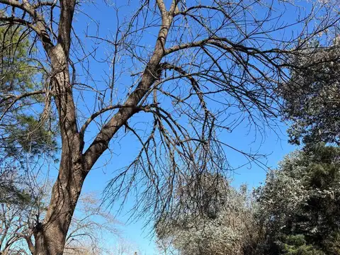 Terreno en Venta de 1000,0 m2