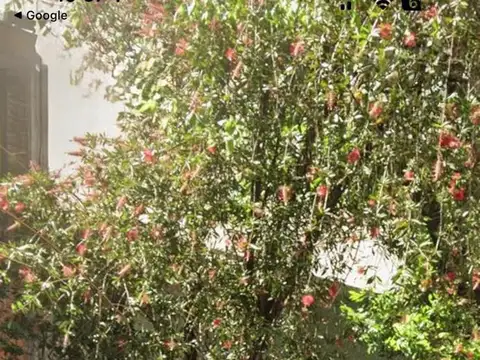Propiedad Horizontal tipo casa de 5 ambientes con patio, terraza y cero gastos