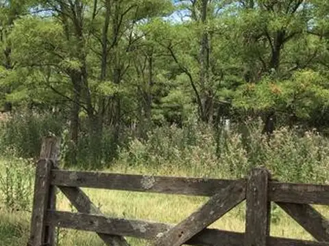 CUARTEL IX LA PORTENA