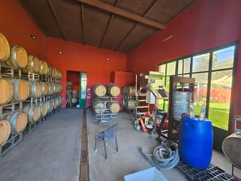 Finca
