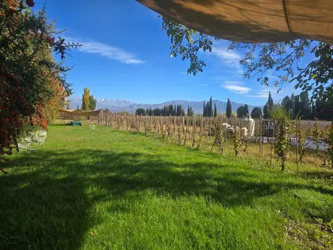 Finca