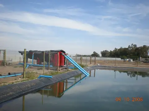 Campo en Venta de 96,50  ha