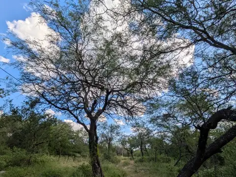 Excelente ubicacion, se vende terreno en Villa de las Rosas, Traslasierra