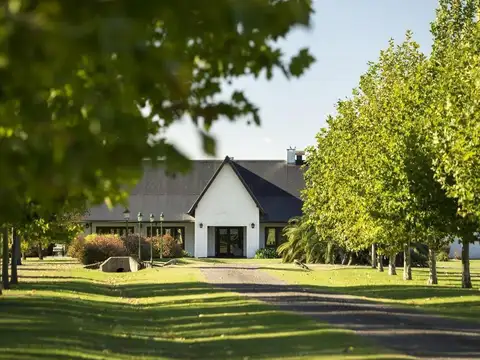 Terreno en Venta de 20984,0 m2