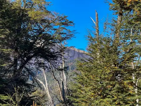 Venta casa Villa La Angostura