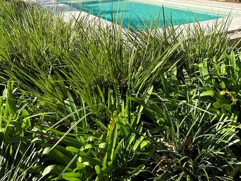 Highland Park C. C. 100