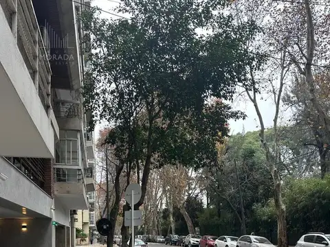 República De La India 3100