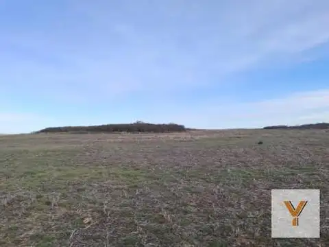 Campo en venta - 940 Hectáreas - San Luis