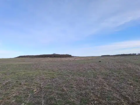 Campo en venta - 940 Hectáreas - San Luis