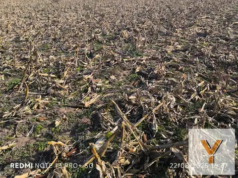 Campo en venta - 940 Hectáreas - San Luis