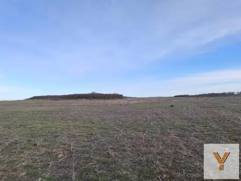 Campo en venta - 940 Hectáreas - San Luis