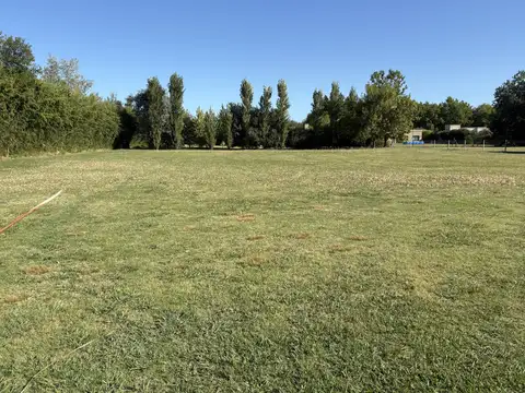 Terreno en Venta 42  mts Frente