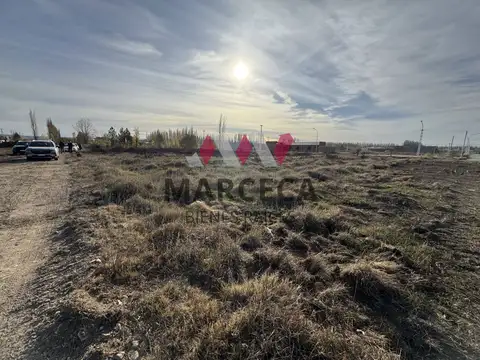 LOTEO LOS CEDROS III SEGUNDA ETAPA  - LOTES PARA INVERSION