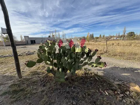 Terreno en Venta 12  mts Fondo