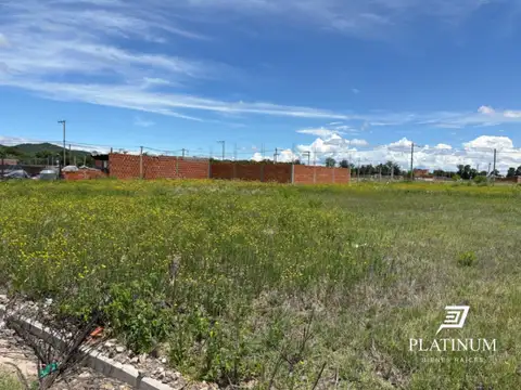 las hortencias Salta 100