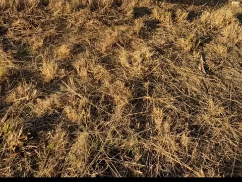 Terreno en Venta 10  mts Frente