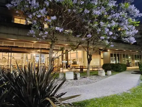 DONADO , HOLMBERG,  MONROE 2000