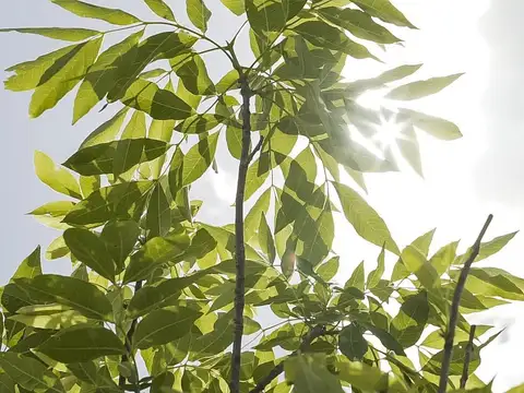 Terreno en Venta de 560,0 m2