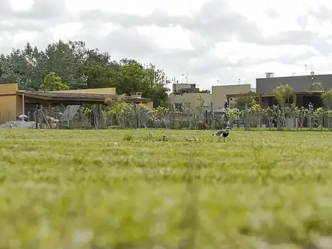 Lote en Venta en Barrio El Aljibe, Pilar