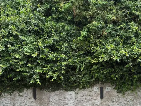 Cochera en Alquiler Fija