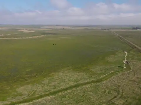 CAMPO AGRÍCOLA GANADERO