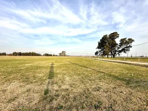 Terreno en  venta en el barrio Fincas Joven, San Vicente