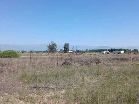 Terreno 6000 Metros Cuadrados en Venta en Lavalle