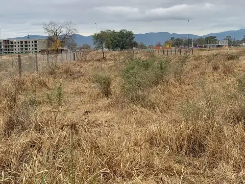 Muy lindo Lote de 280 m2 en venta en Loteo Septiembre