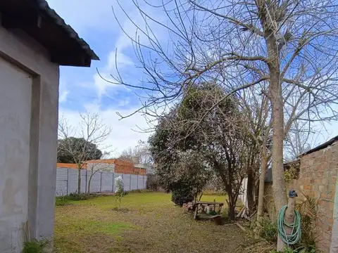 Arturo Illia 300