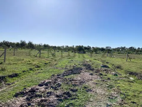 Terreno Barrio Savoia