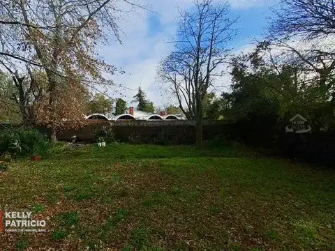 De la Visitacion al 500