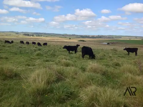 Campo en venta de 61m2 ubicado en Garzon