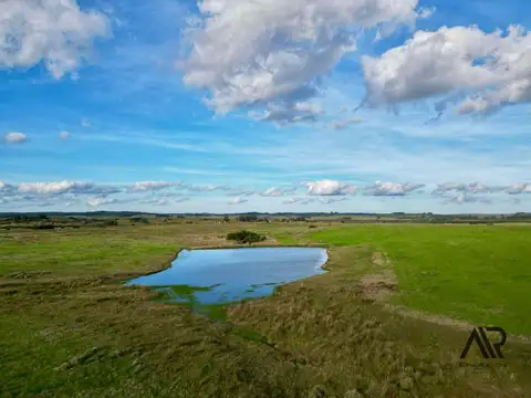 Campo en venta de 61m2 ubicado en Garzon