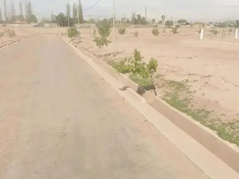 Terreno en Venta en Coronel Dorrego, USD 95.000