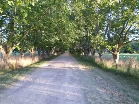 Terreno en Venta de 3060,0 m2
