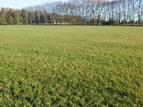 Terreno en Venta de 3060,0 m2