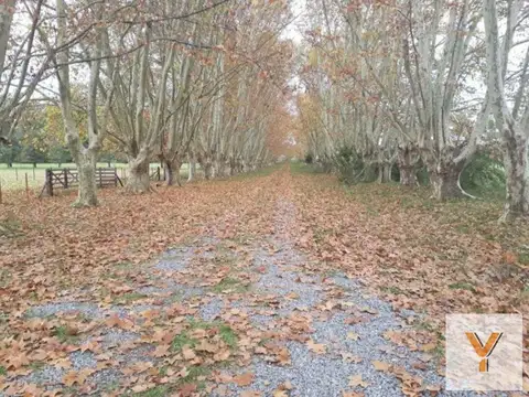 Estancia Las Malvinas - Barrio de Chacras