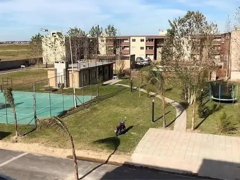 El Lineo 19