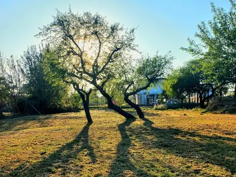 Terreno en Venta 50  mts Fondo