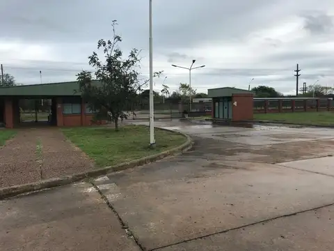 Galpon en Venta 250  mts Fondo