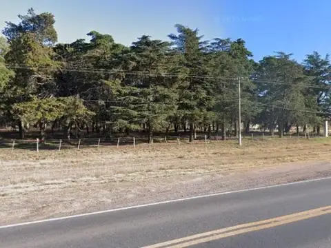 Campo en venta - 137 Hectáreas - Santa Rosa