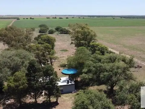Campo en venta - 137 Hectáreas - Santa Rosa