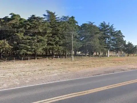 Campo en venta - 137 Hectáreas - Santa Rosa