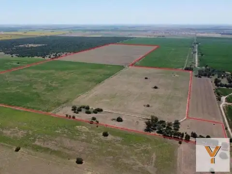 Campo en venta - 137 Hectáreas - Santa Rosa