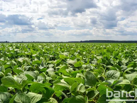 170 ha Mixto María Teresa
