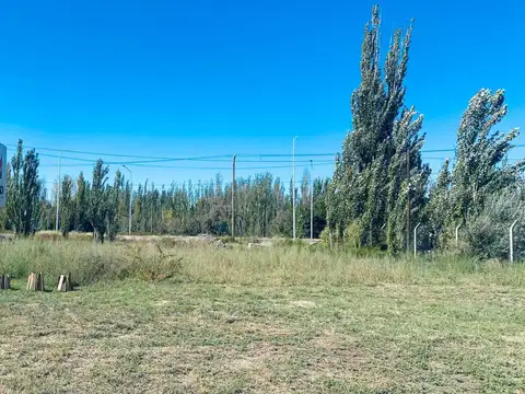 Terreno en Alquiler de 325,0 m2