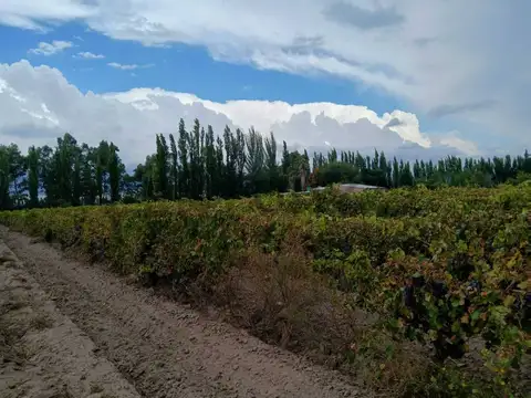 Casa en Venta en San Rafael, USD 150.000