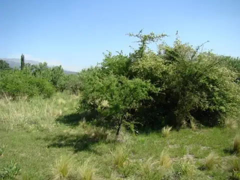 Terreno en Venta, FOT 0.4