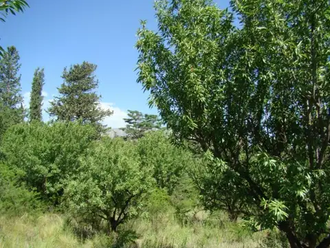 Terreno en Venta, FOS 0.2