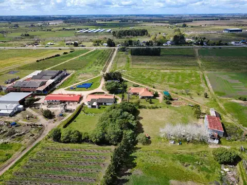 VENTA PREDIO RURAL 3HÁS. SOBRE RUTA 5 CON CHALET